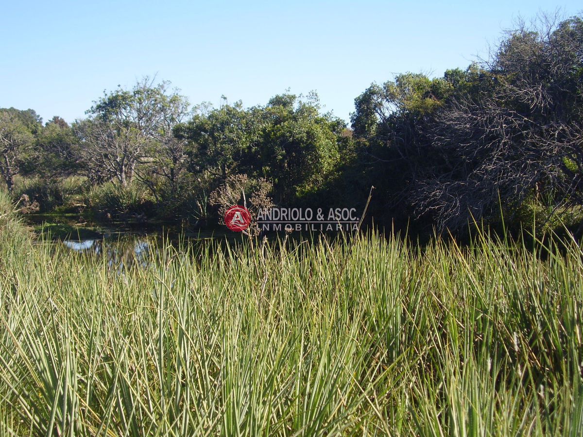 Chacra ID.6049 - 