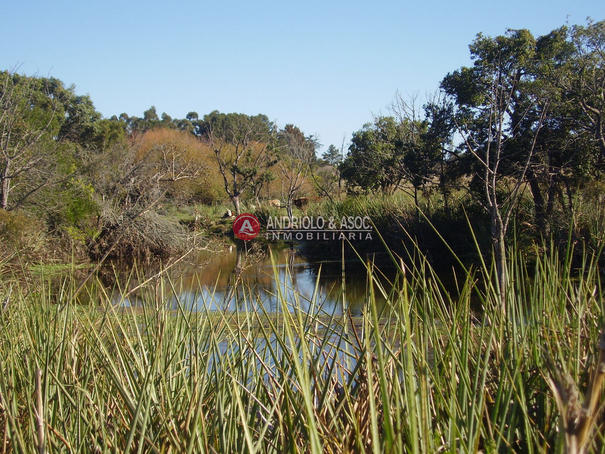 Chacra ID.6049 - 