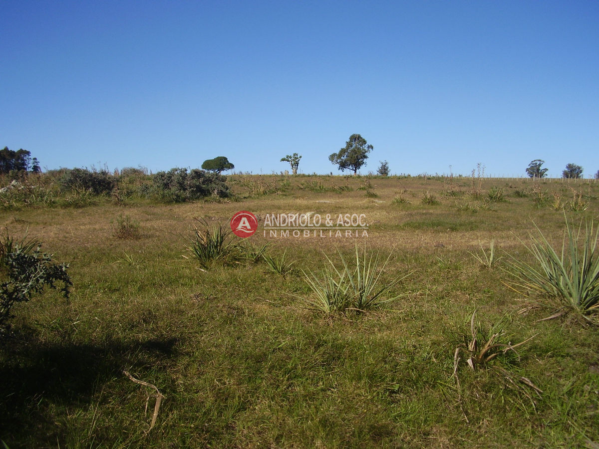 Chacra ID.6049 - 