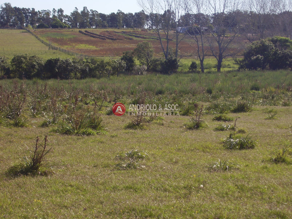 Chacra ID.6049 - 