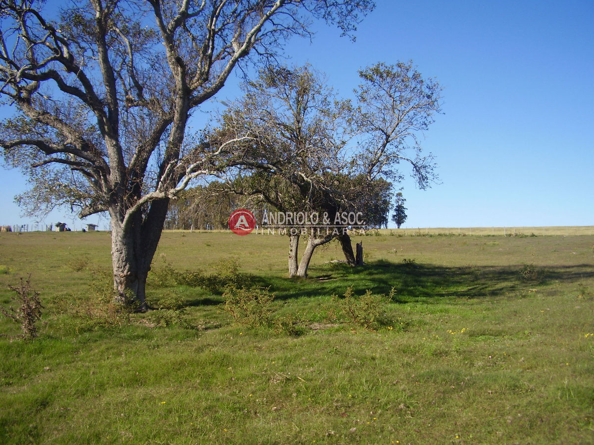 Chacra ID.6049 - 