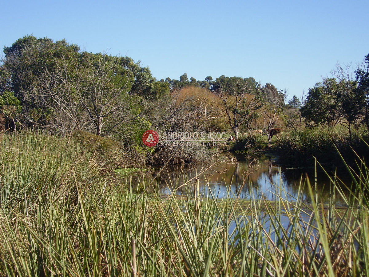 Chacra ID.6049 - 