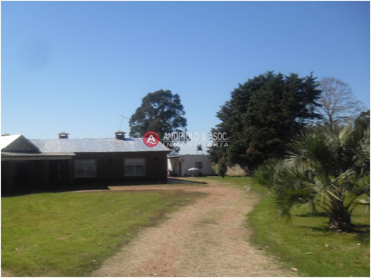 Chacra ID.6071 - 