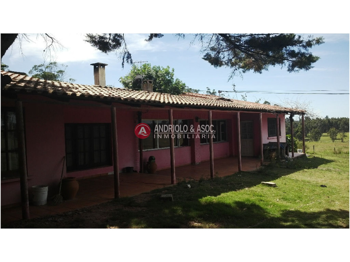 Chacra ID.6077 - 