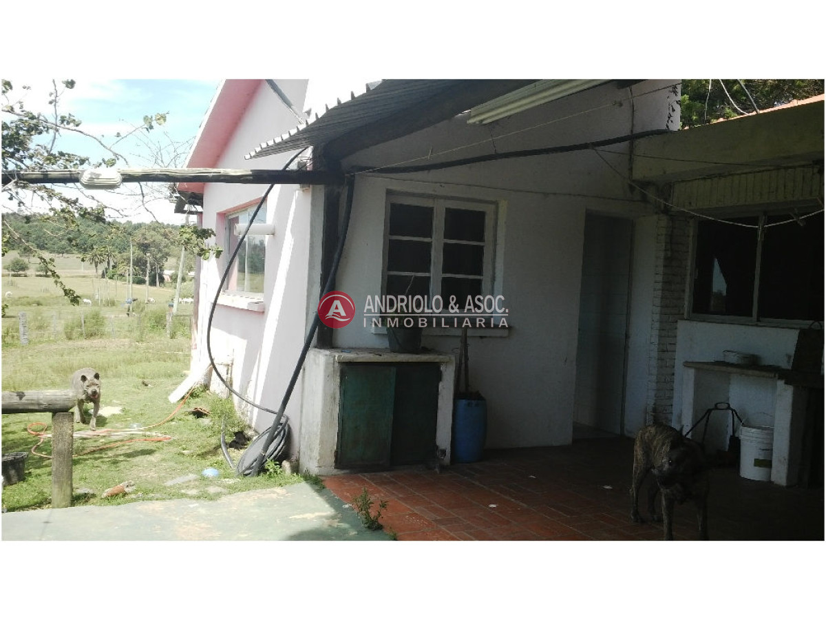 Chacra ID.6077 - 