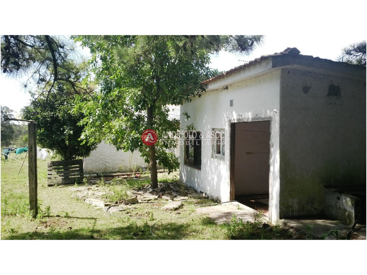 Chacra ID.6077 - 