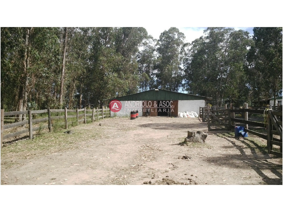 Chacra ID.6077 - 