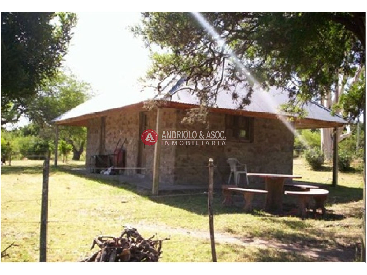 Chacra ID.6081 - 