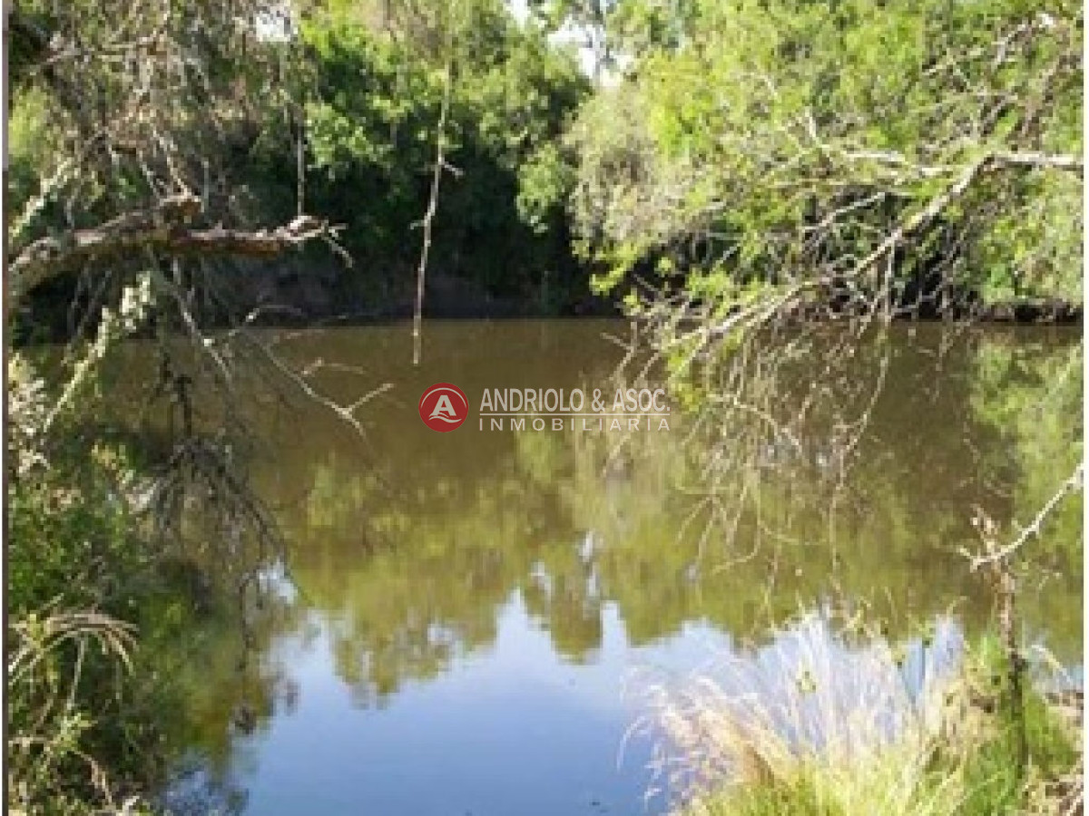 Chacra ID.6081 - 