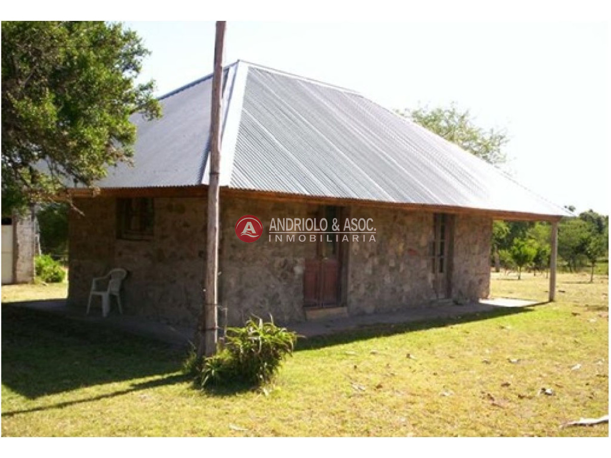 Chacra ID.6081 - 