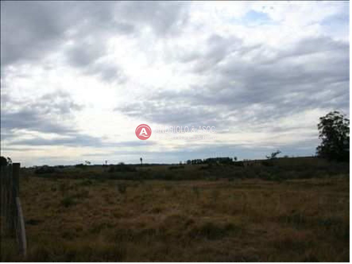 Chacra ID.6028 - 