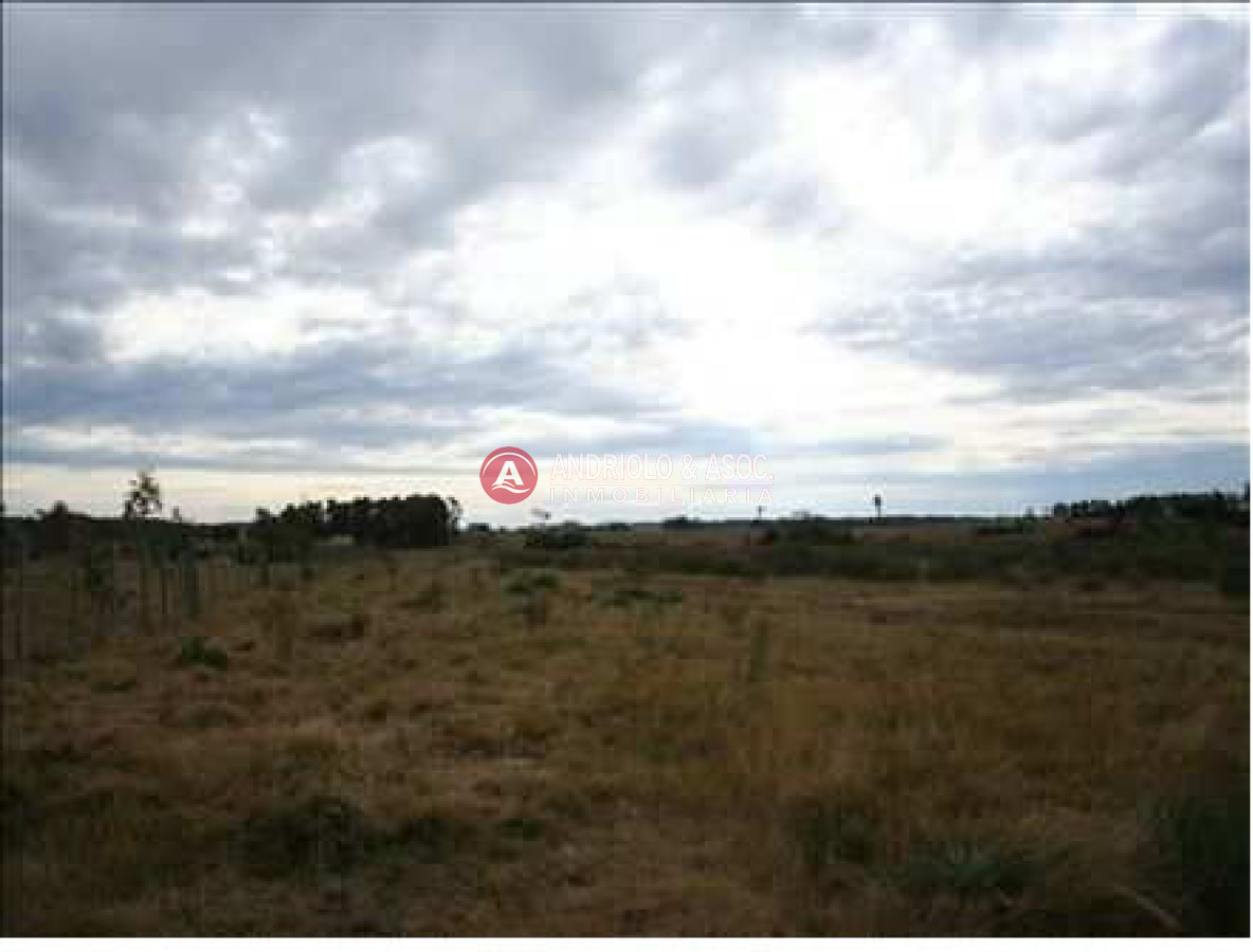 Chacra ID.6028 - 