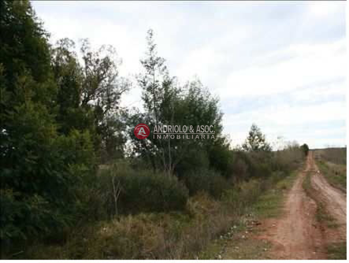 Chacra ID.6028 - 