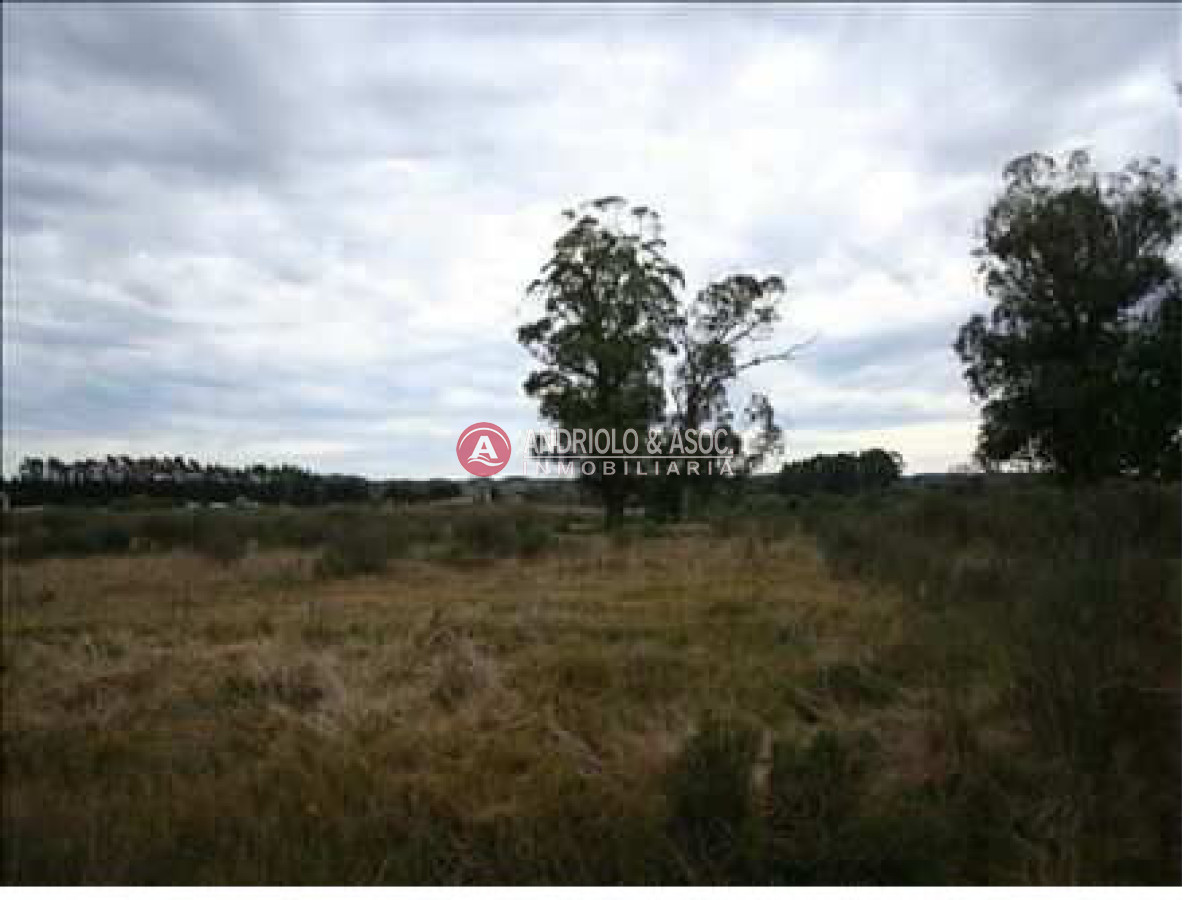 Chacra ID.6028 - 