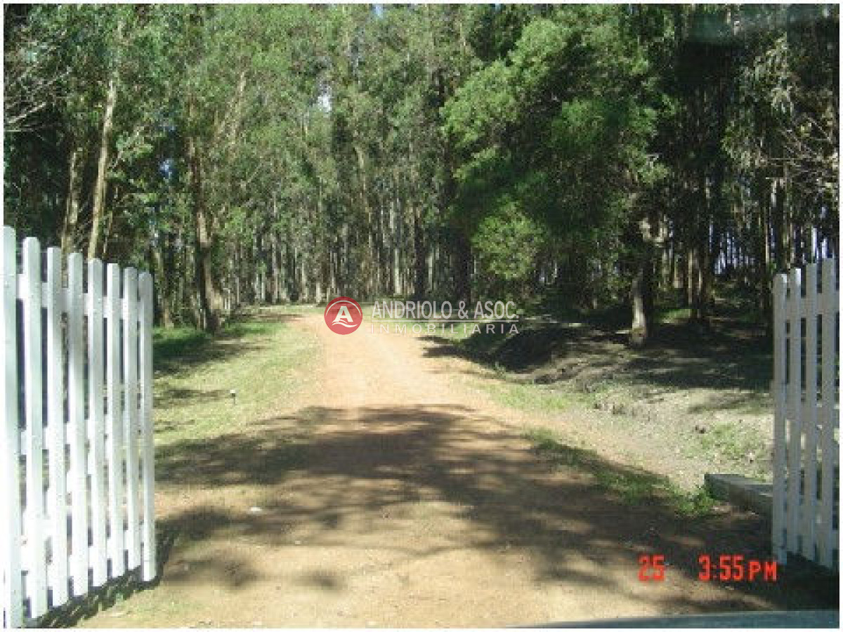 Chacra ID.6029 - 