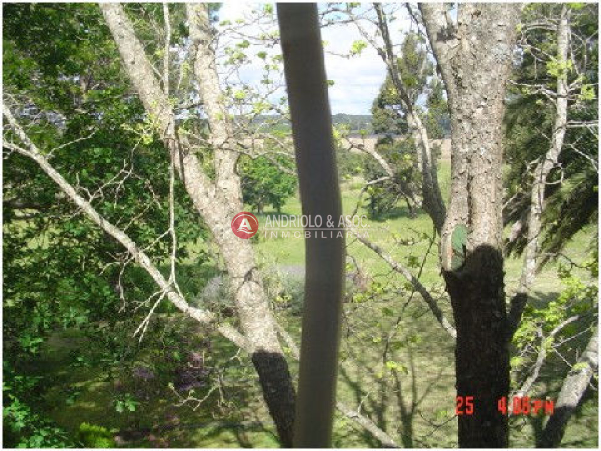 Chacra ID.6029 - 