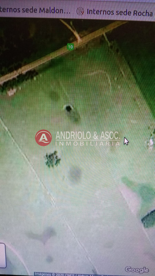Campo Ref.6529 - excelente campo sobre ruta 10 a pocos metros del mar y 15 kilómetros de la pedrera