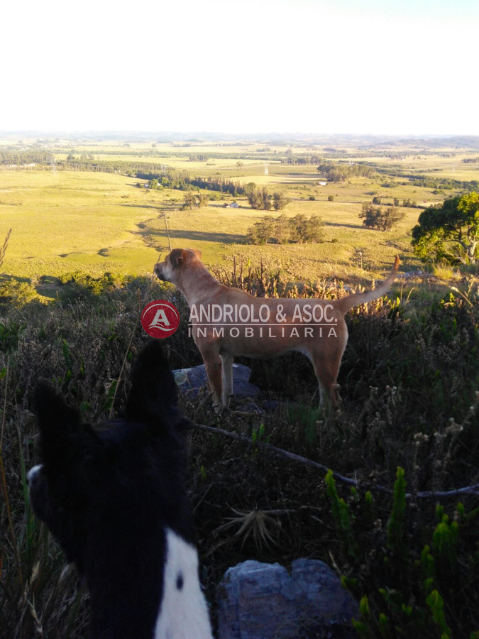 Campo Ref.6562 - campo agricola ganadero sobre ruta 13 a 5 kilómetros de aigua 