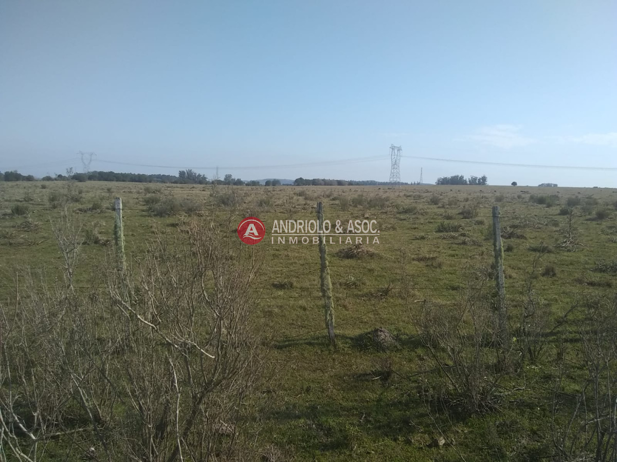 Campo Ref.6542 - chacra con fácil acceso sobre ruta 39