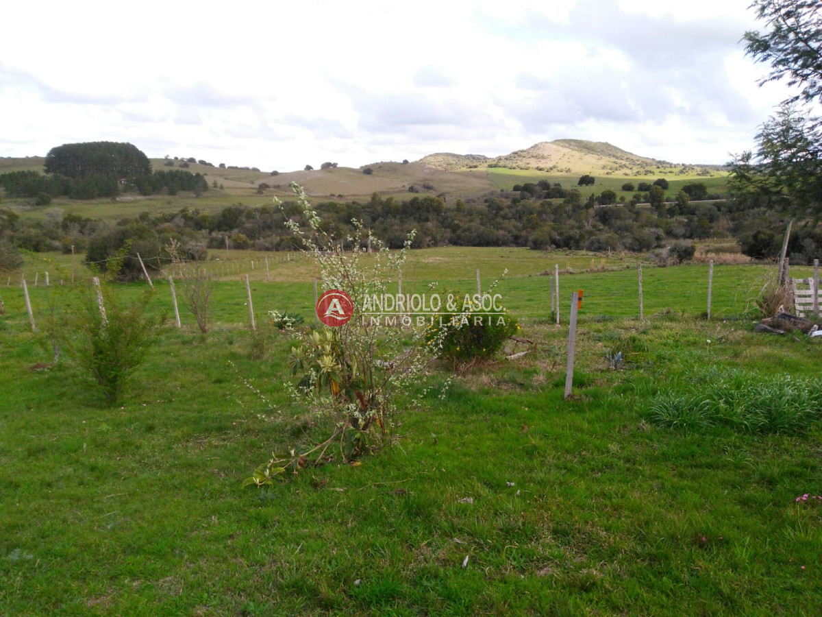 Campo Ref.6562 - campo agricola ganadero sobre ruta 13 a 5 kilómetros de aigua 