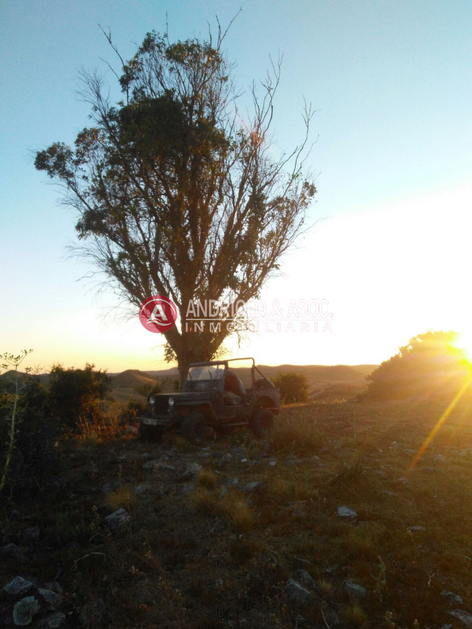 Campo Ref.6562 - campo agricola ganadero sobre ruta 13 a 5 kilómetros de aigua 