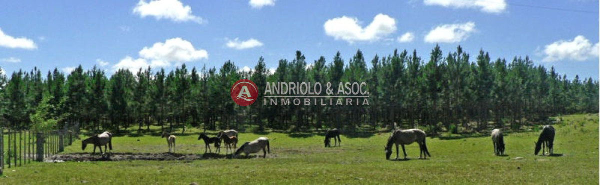Campo Ref.6179 - Campo en Punta del Este, 