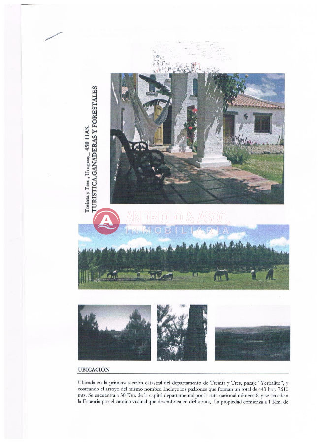 Campo Ref.6179 - Campo en Punta del Este, 