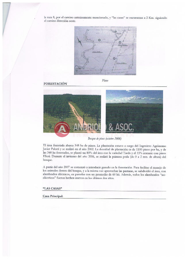 Campo Ref.6179 - Campo en Punta del Este, 