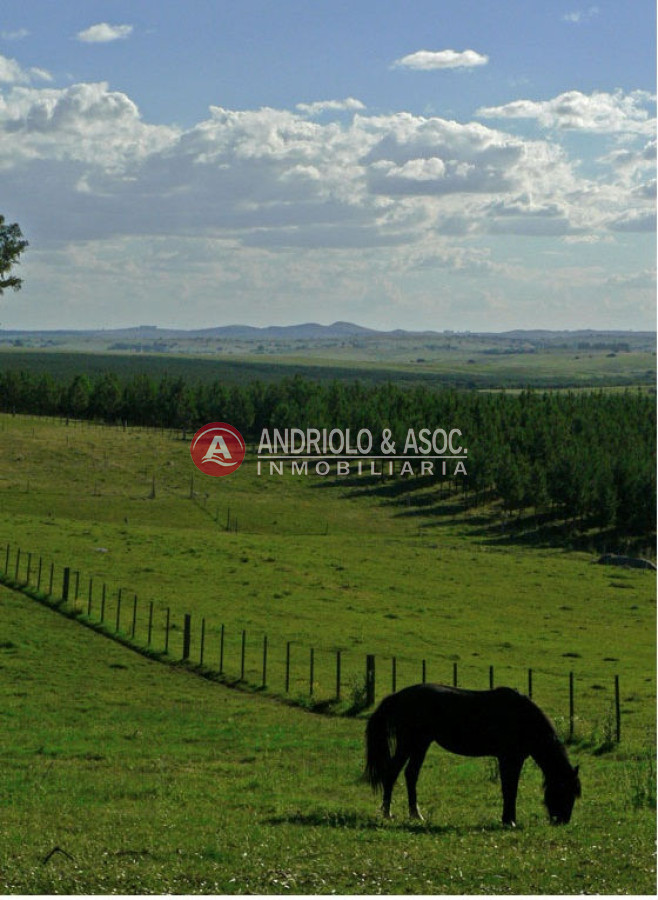 Campo Ref.6179 - Campo en Punta del Este, 