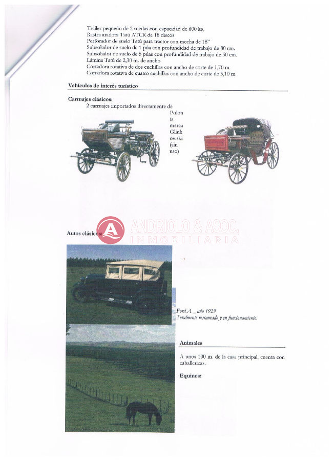 Campo Ref.6179 - Campo en Punta del Este, 