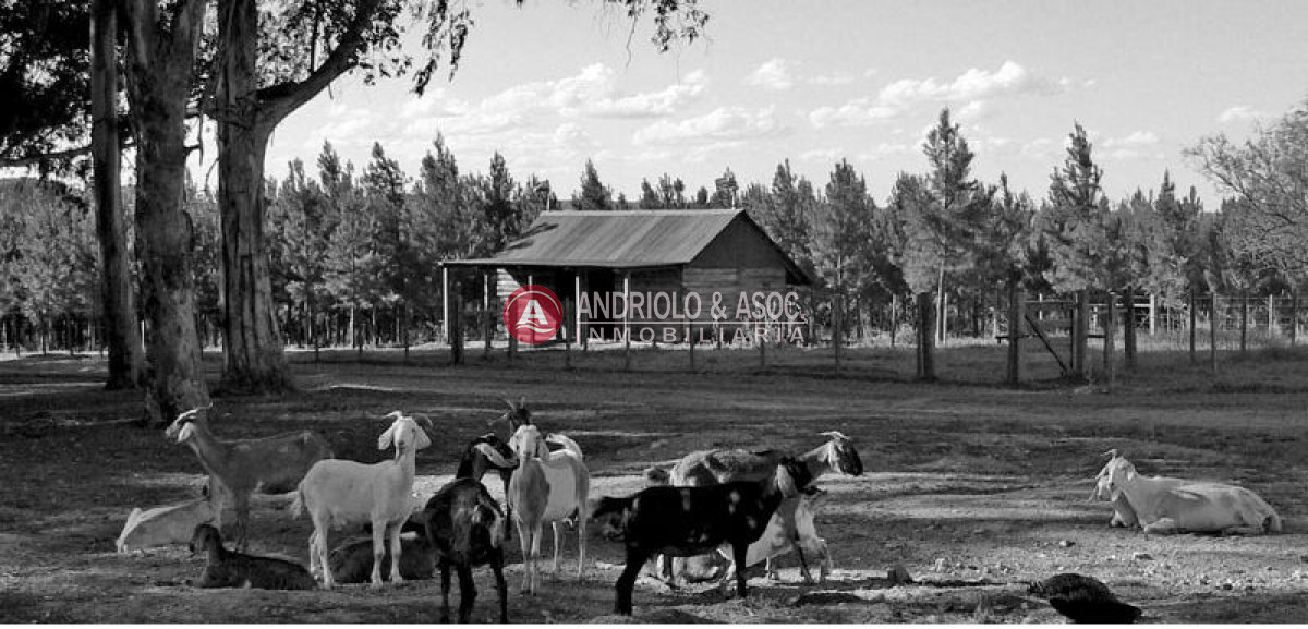 Campo Ref.6179 - Campo en Punta del Este, 