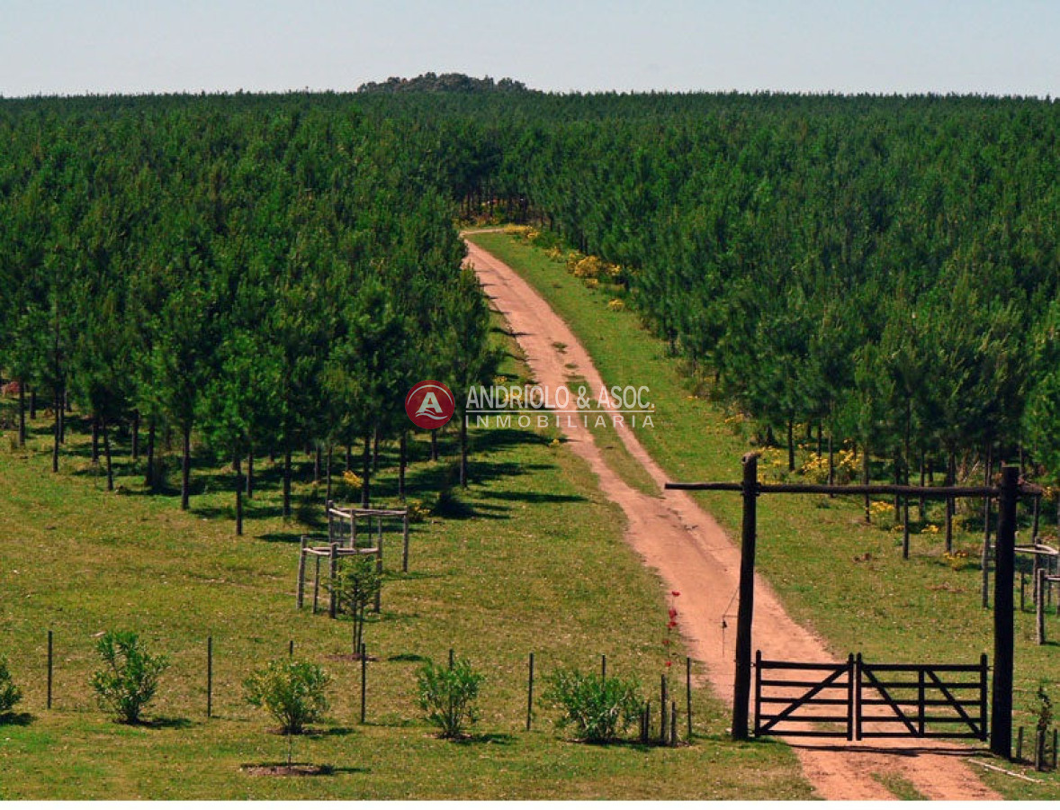 Campo Ref.6179 - Campo en Punta del Este, 