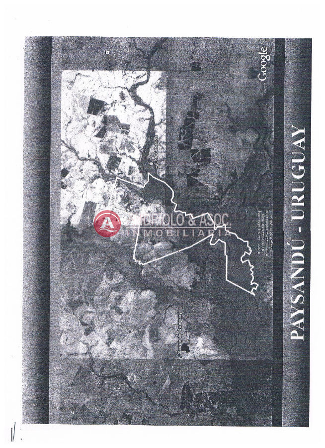 Campo Ref.6170 - Campo en Punta del Este, 
