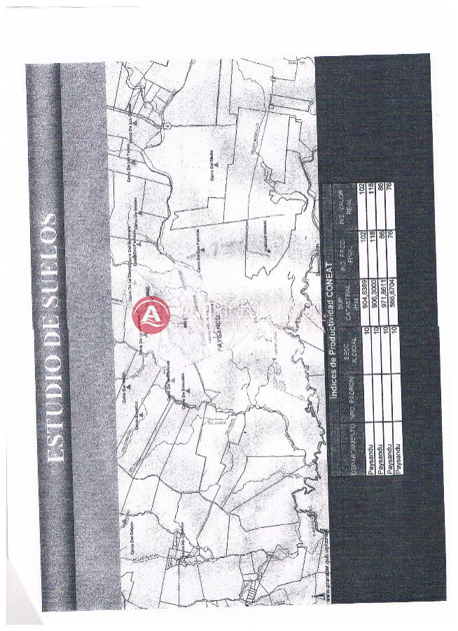 Campo Ref.6170 - Campo en Punta del Este, 