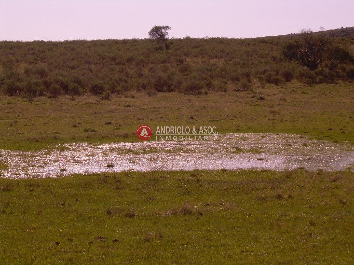 Campo Ref.6205 - Campo en Punta del Este, 