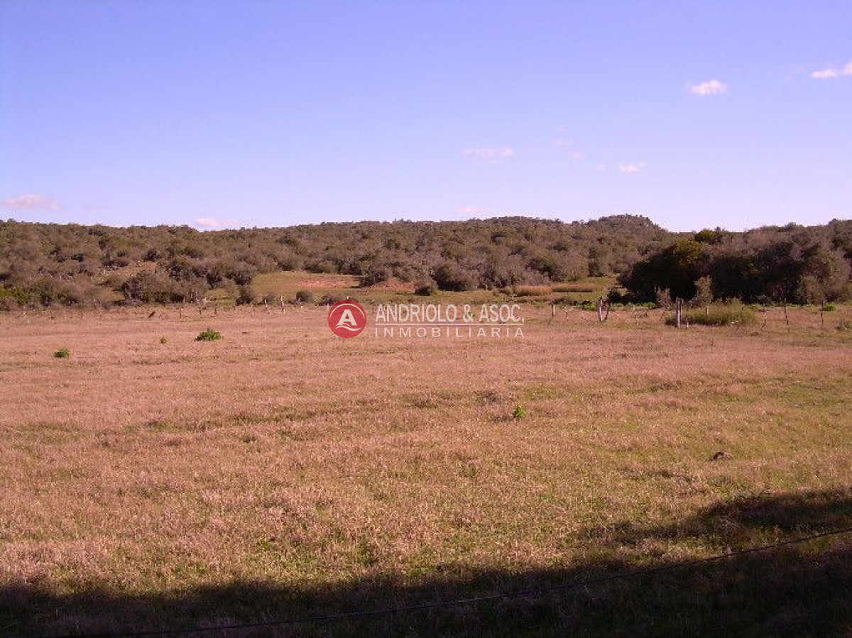 Campo Ref.6205 - Campo en Punta del Este, 