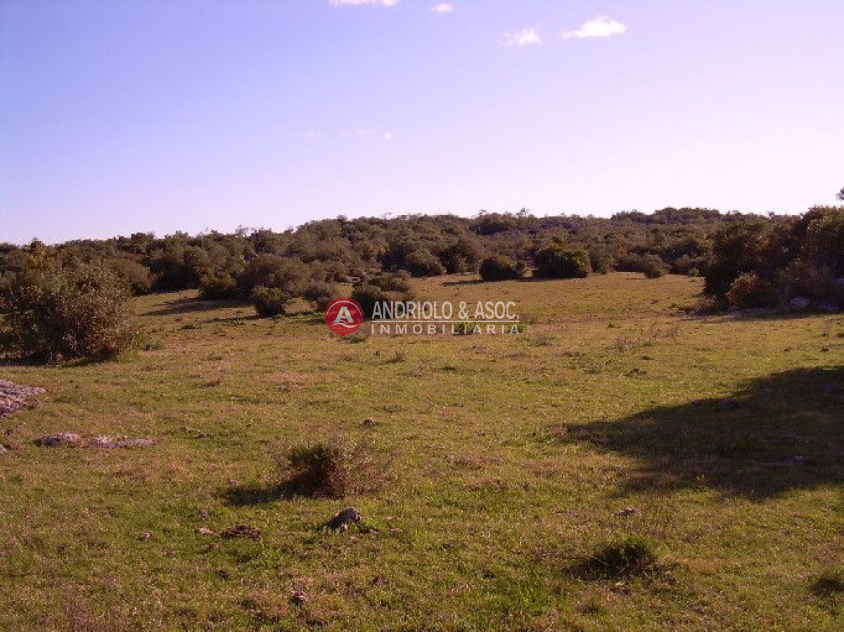 Campo Ref.6205 - Campo en Punta del Este, 