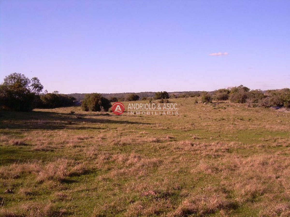 Campo Ref.6205 - Campo en Punta del Este, 