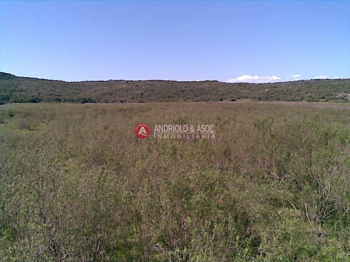 Campo Ref.6205 - Campo en Punta del Este, 