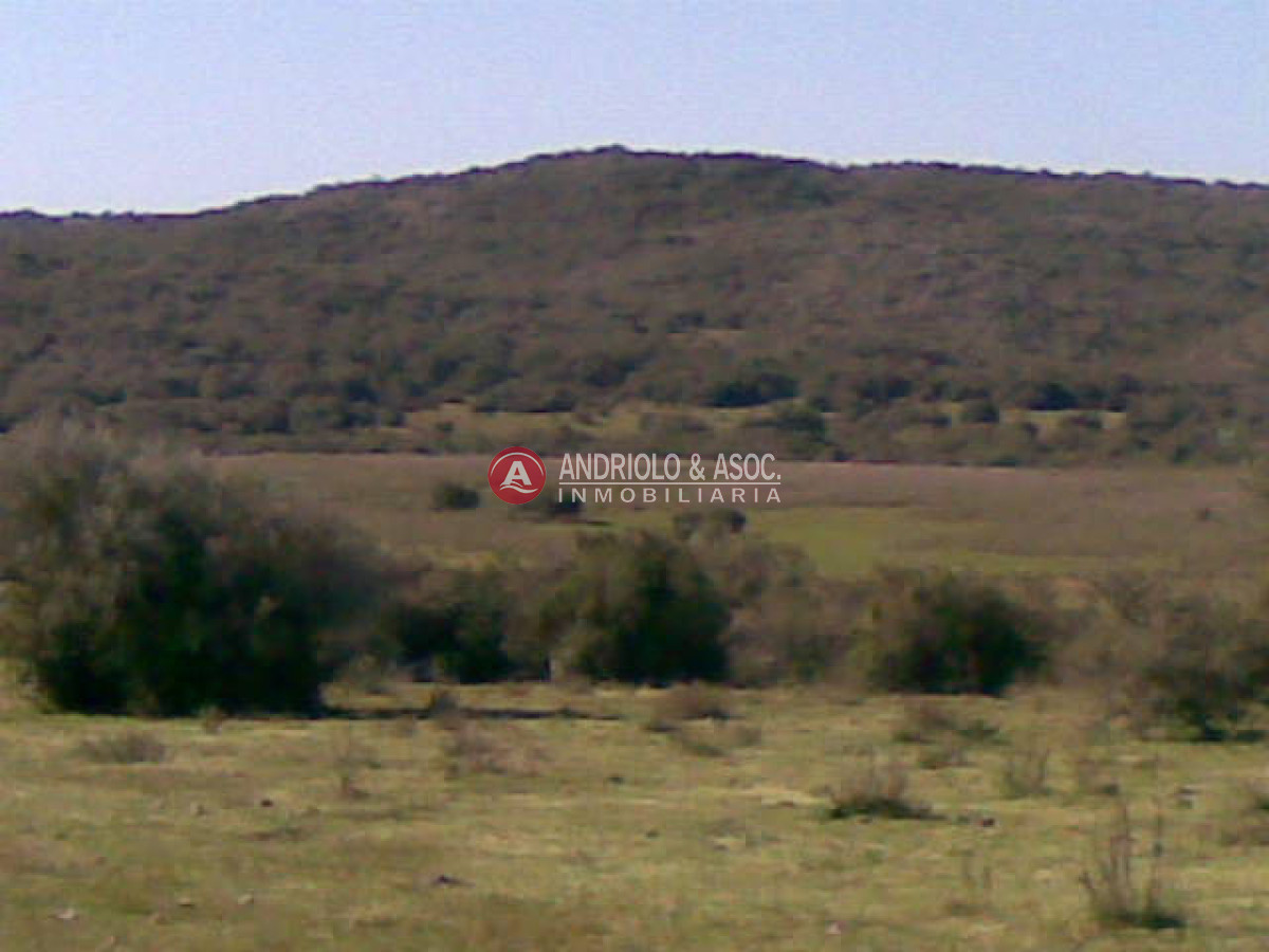 Campo Ref.6205 - Campo en Punta del Este, 