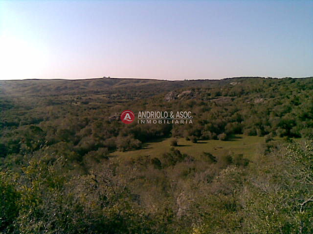 Campo Ref.6205 - Campo en Punta del Este, 