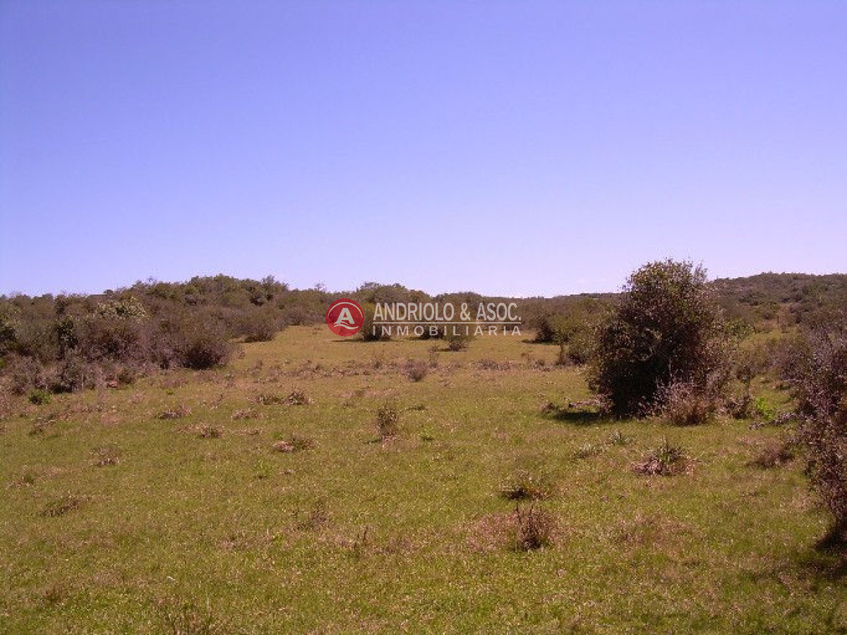 Campo Ref.6205 - Campo en Punta del Este, 