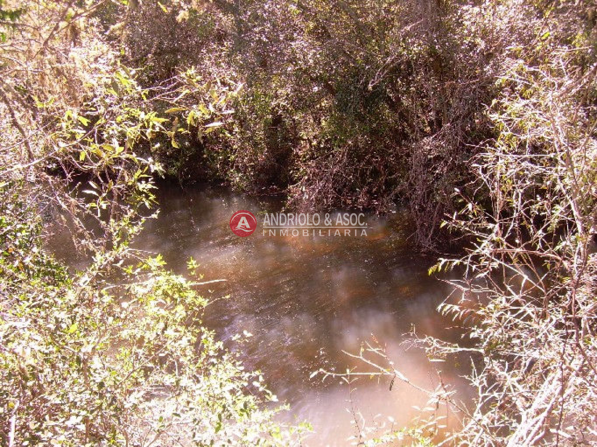 Campo Ref.6205 - Campo en Punta del Este, 