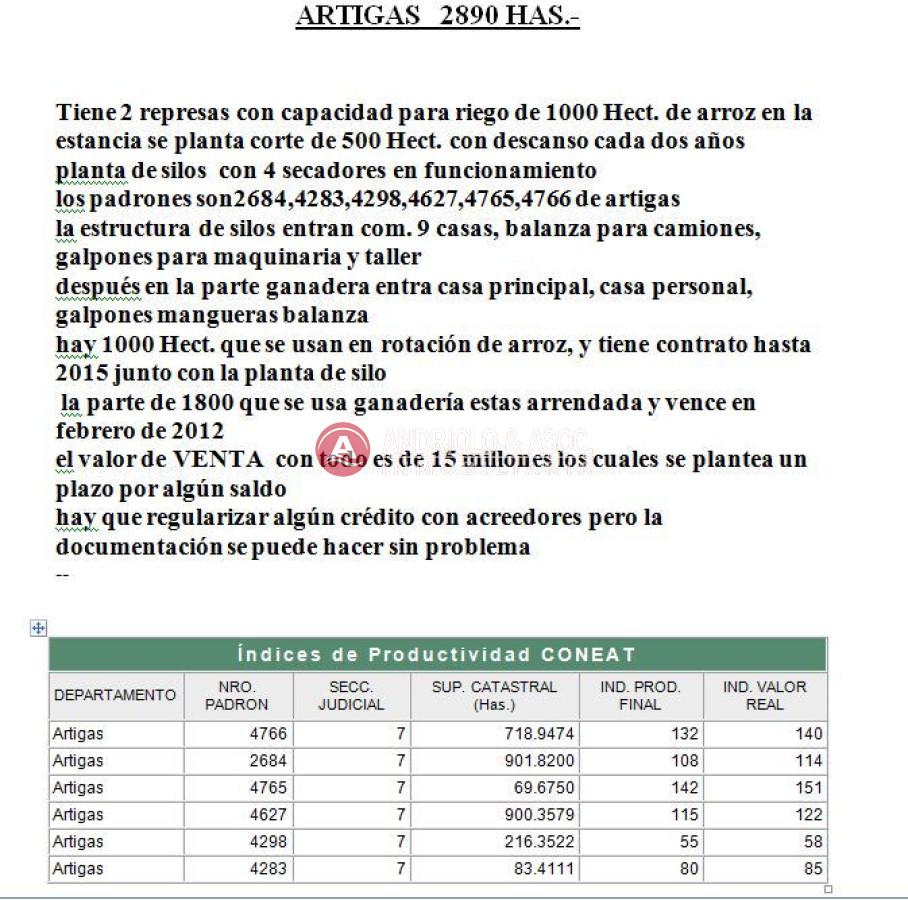 Campo Ref.6207 - Campo en Punta del Este, 