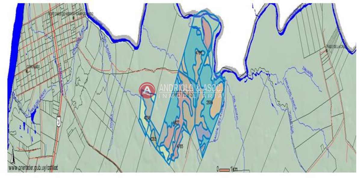 Campo Ref.6207 - Campo en Punta del Este, 