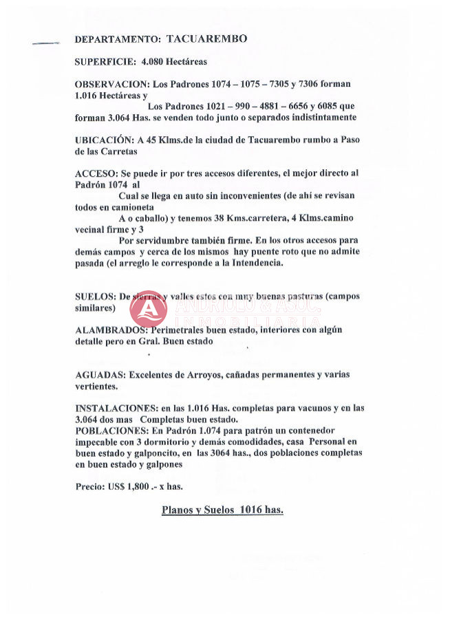 Campo Ref.6172 - Campo en Punta del Este, 