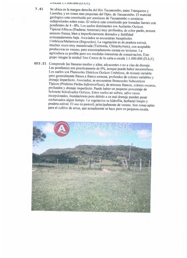 Campo Ref.6172 - Campo en Punta del Este, 