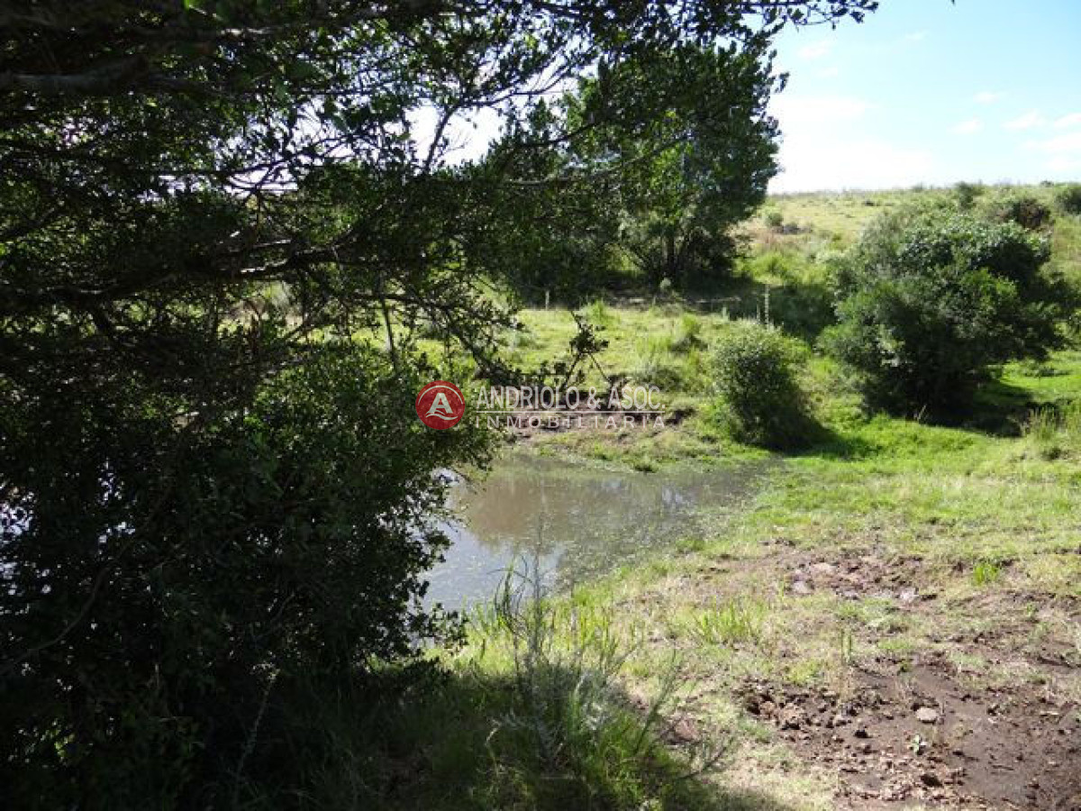 Campo Ref.6215 - Campo en Punta del Este, 