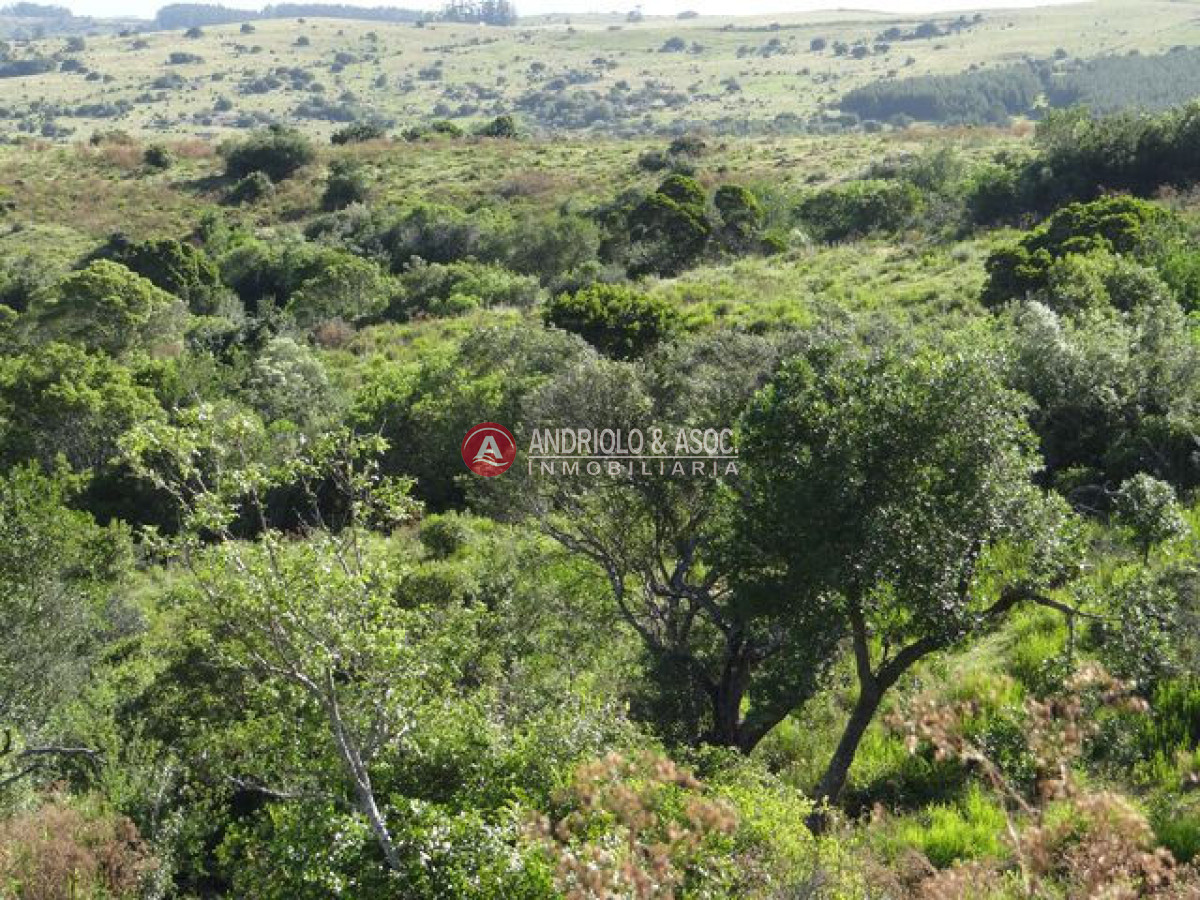 Campo Ref.6215 - Campo en Punta del Este, 