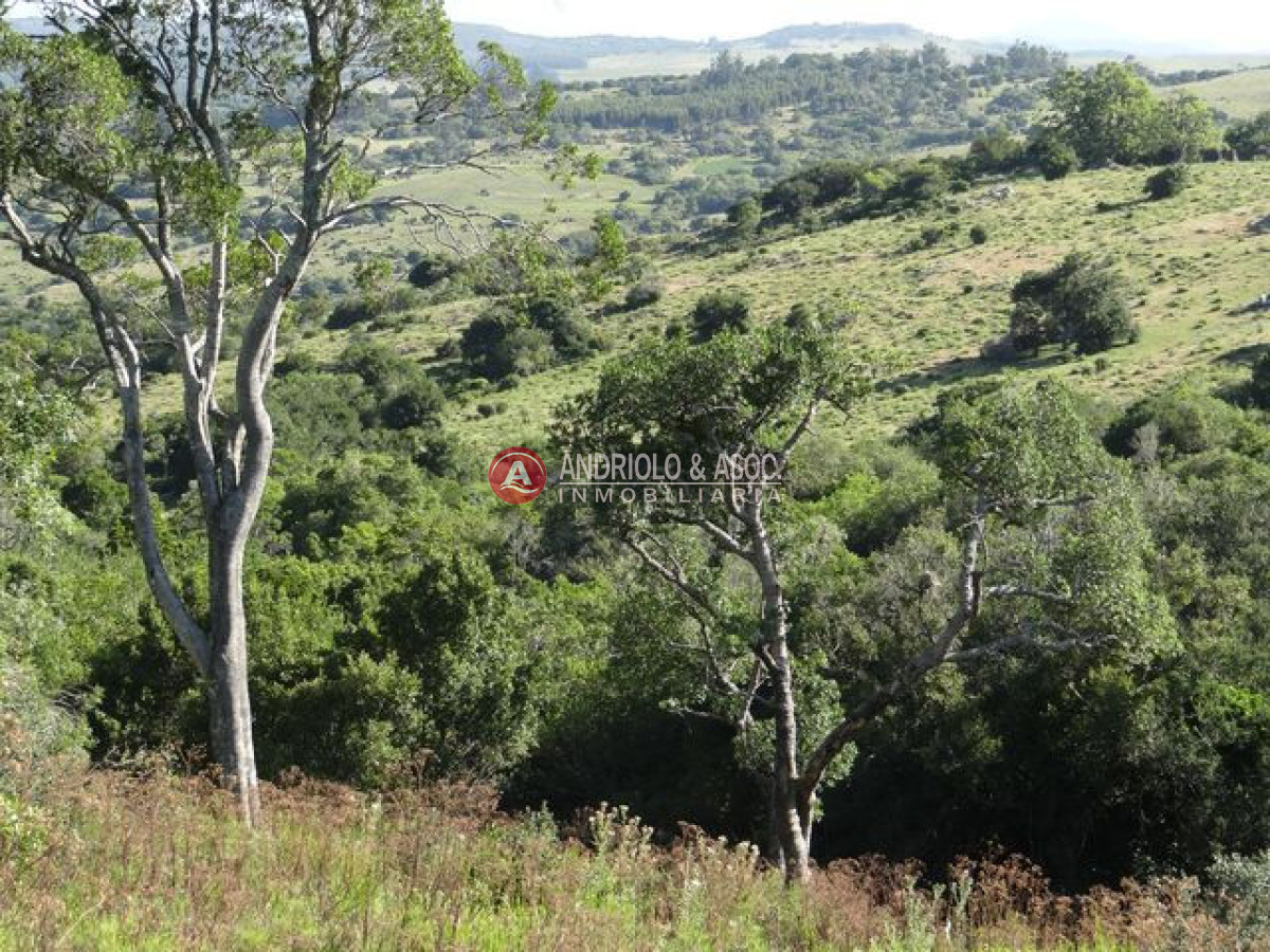 Campo Ref.6215 - Campo en Punta del Este, 